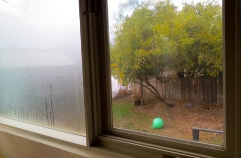Window film on and off.jpg Thumbnail