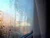 condensation 1 Thumbnail
